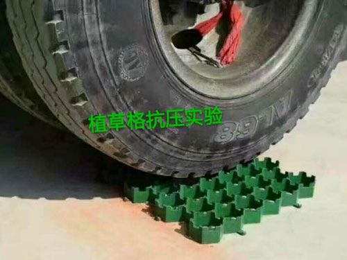 植草格抗壓實(shí)驗(yàn)